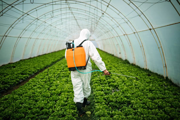 Best Residential Pest Control  in Eatons Neck, NY