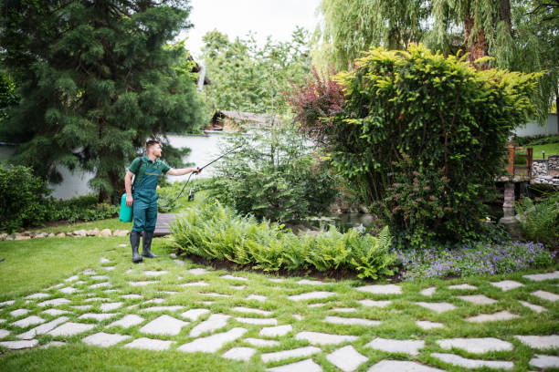 Best Wasp Removal Services  in Eatons Neck, NY