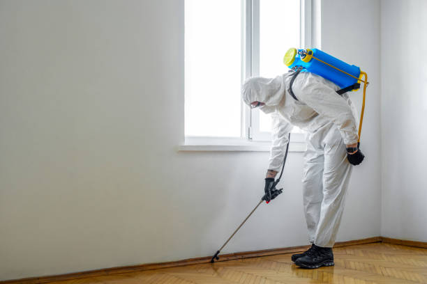 Best Best Pest Control Companies  in Eatons Neck, NY