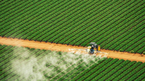Best Termite Control Services  in Eatons Neck, NY