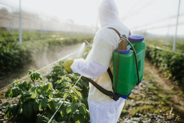 Reliable Eatons Neck, NY Pest Control Solutions